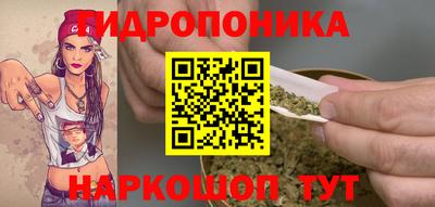 крисы Заводоуковск