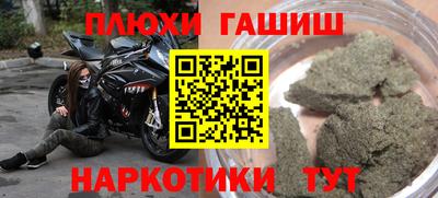крисы Заводоуковск