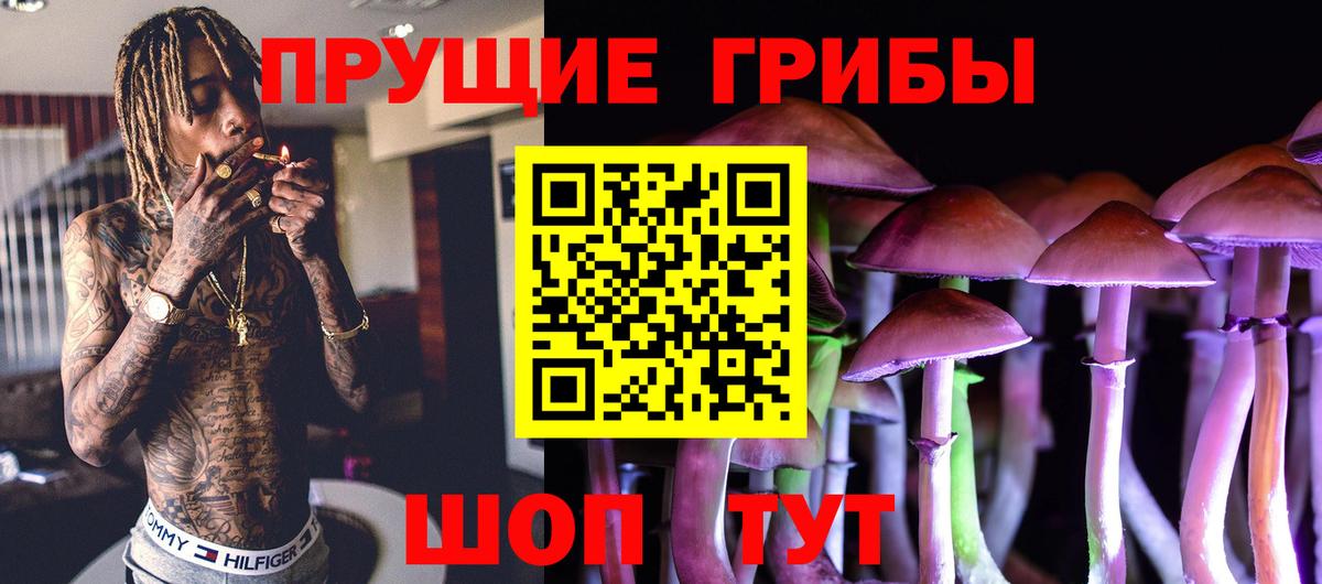 Галлюциногенные грибы Psilocybine cubensis Нарткала