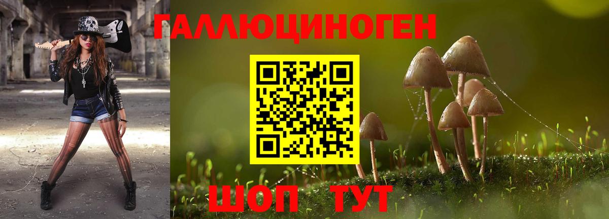 Галлюциногенные грибы Psilocybe  Вход с VPN  Нарткала 